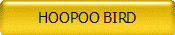 HOOPOO BIRD