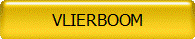 VLIERBOOM